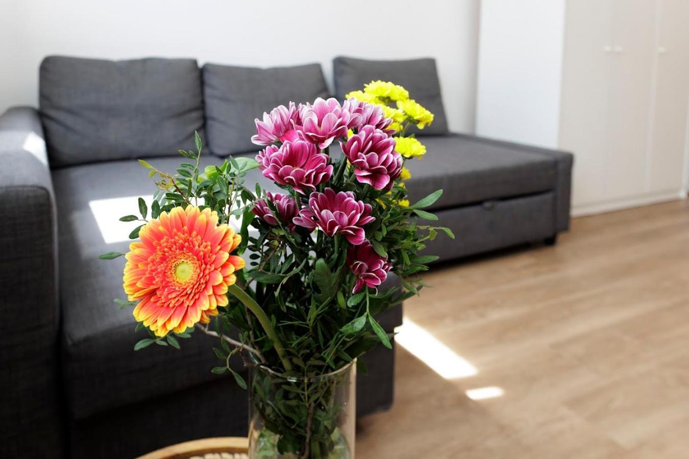 Diamond Residence In Old Town With Free Parking Bratislava Eksteriør bilde